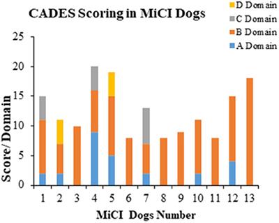 Novel Diagnostic Tools for Identifying Cognitive Impairment in Dogs: Behavior, Biomarkers, and Pathology